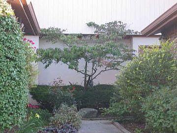 1st image of 517 Cielo Vista Dr