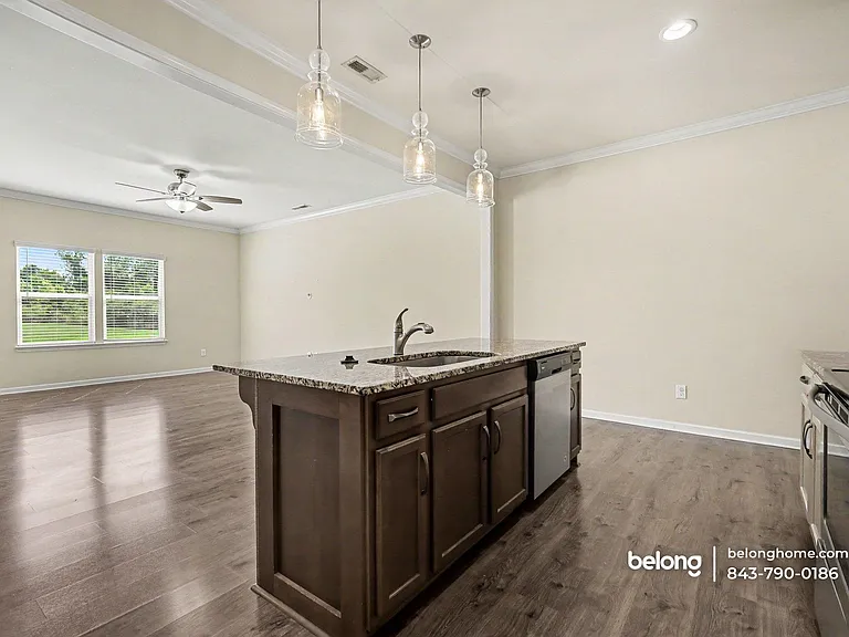 439 Tayberry Ln — Photo 12