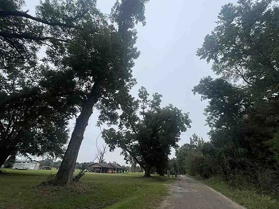 Exterior Neighborhood (street photo)