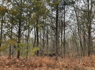 450 Molly Ln, Rockaway Beach, MO 65740