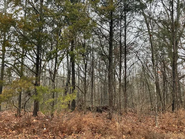 450 Molly Lane, Rockaway Beach, MO 65740