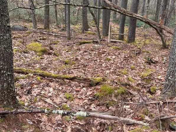 Forest Pond Road, Narrowsburg, NY 12764