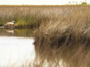 4035 Eagle Nest Dr, Hernando Beach, FL 34607