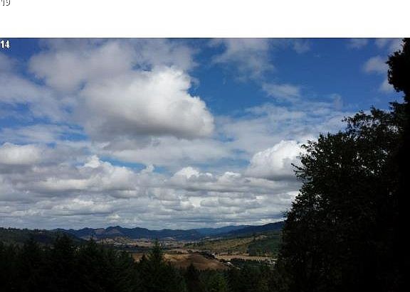 5th image of 1320 Deer Hollow Ln