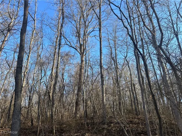 Creek Rd, Stockport, OH 43787