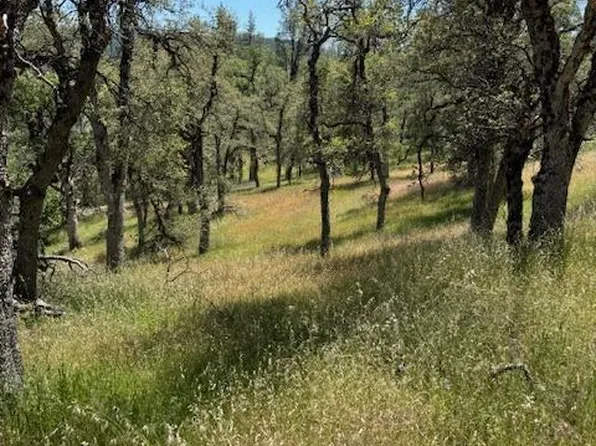 (undisclosed Address), Mountain Ranch, CA 95246