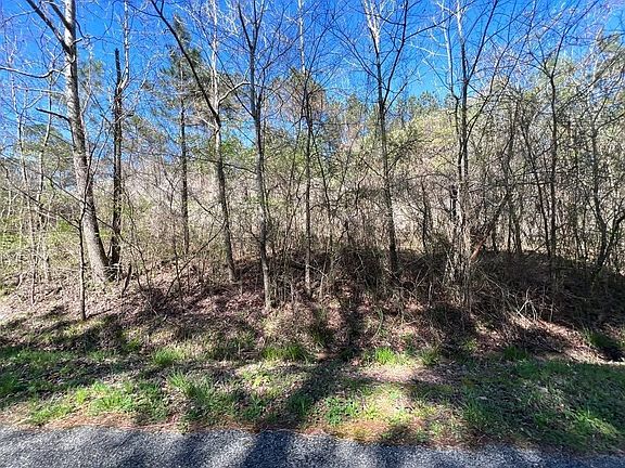5th image of TRACT 7 King Rd