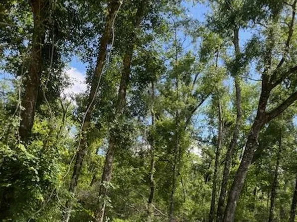 0 14th Ter, Live Oak, FL 32060