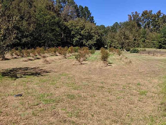 3rd image of 11141 Nc Highway 42