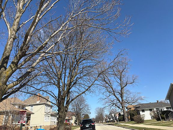 5th image of 248 S 21st Ave