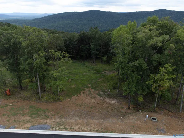 67 Watson Grande Way, Owens Cross Roads, AL 35763