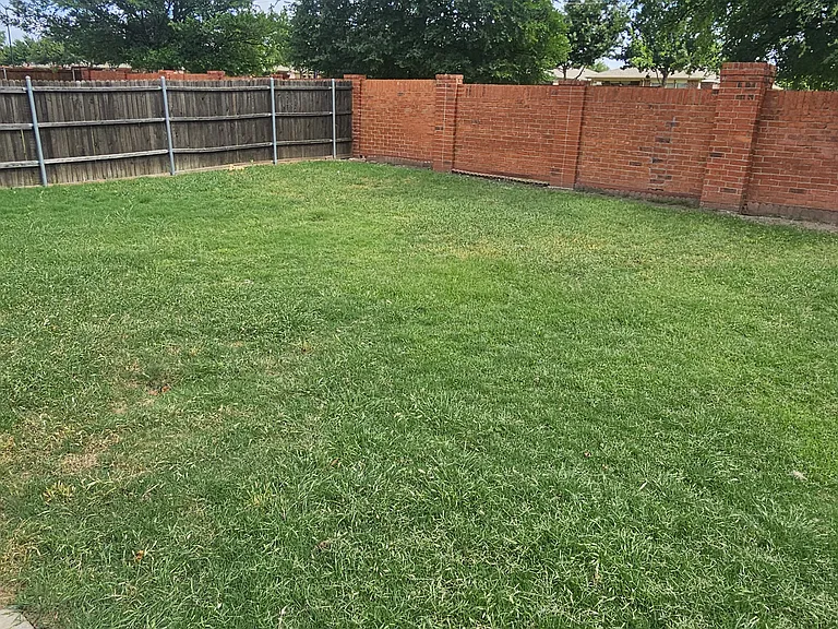 Large Backyard