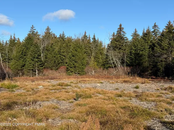 12 Laurel View Ln, Tobyhanna, PA 18466