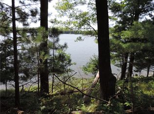 LOT 1 Ripley Rd, Sarona, WI 54870