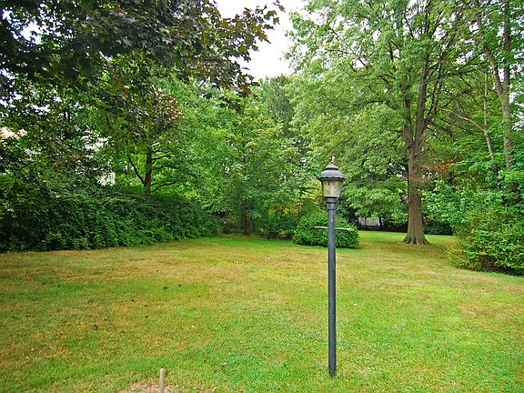 LEVEL BACKYARD