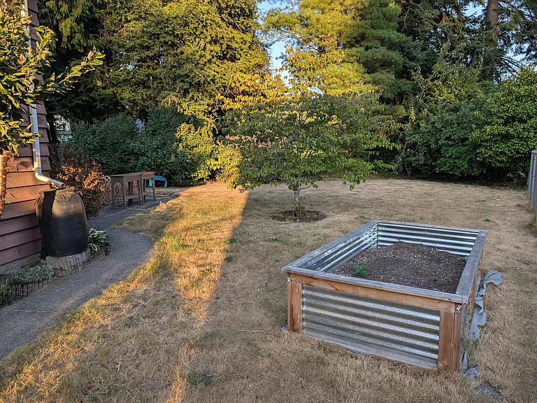 Backyard Garden