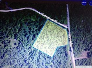 11 Evergreen Rd, Jewett, NY 12444