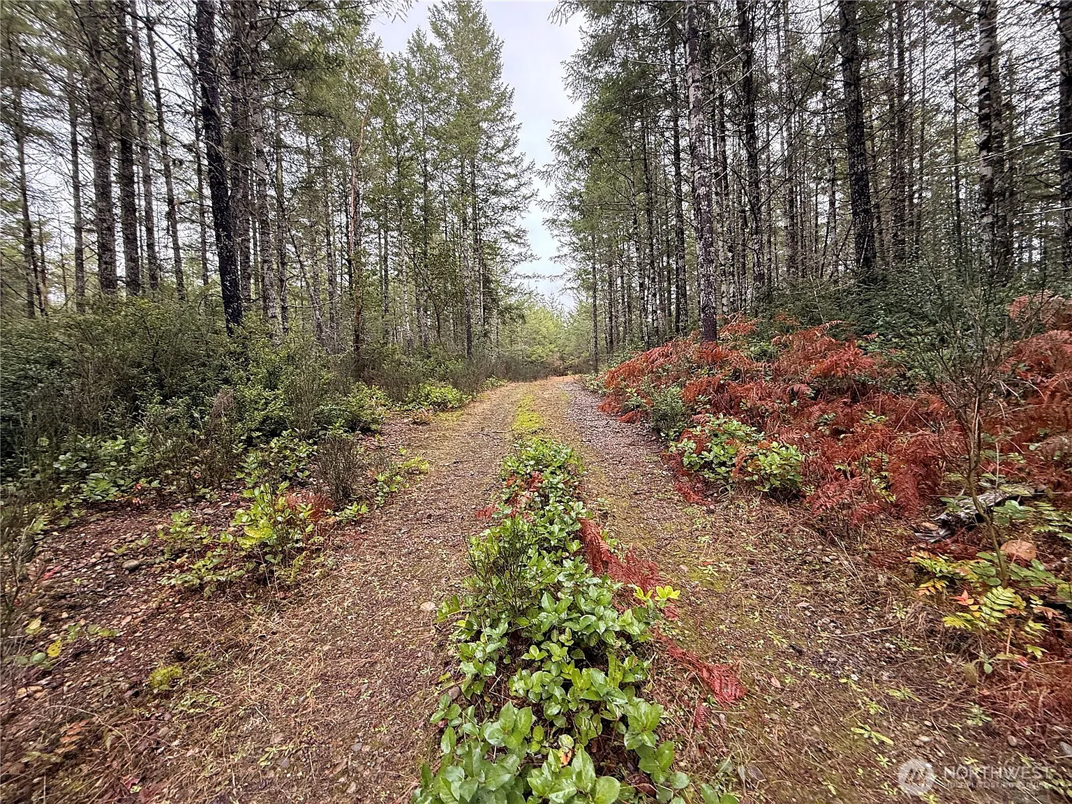 10 XX E Shetland Road photo 1
