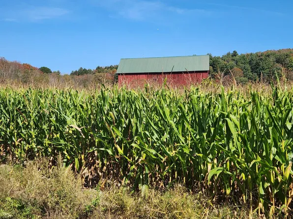 0 County Road 38, Guilford, NY 13780