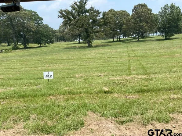 LOT 11 Tbd Private Road 3398, Big Sandy, TX 75755