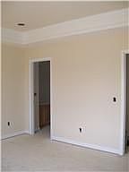 trey ceiling in Master