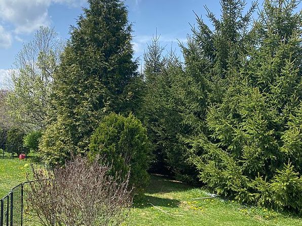 10540 Bittinger Rd, Grantsville, MD 21536