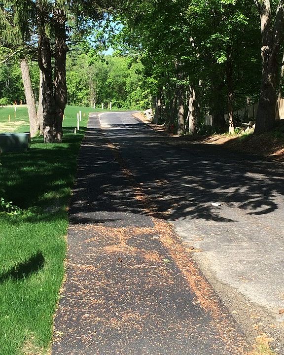 2nd image of 16 Goodspeed Ln