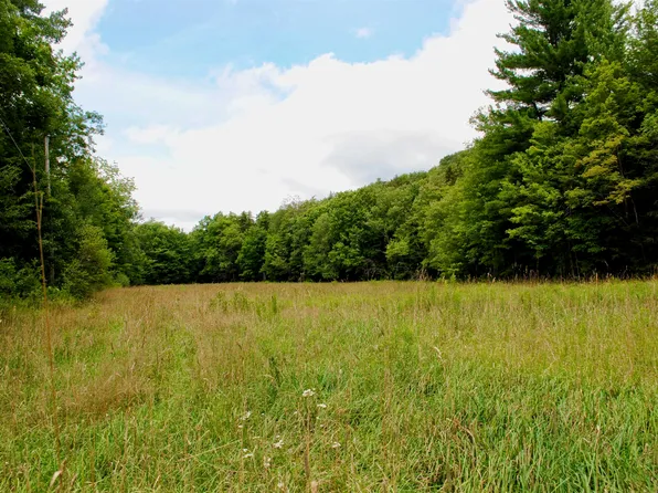 100 Blue Brook Road, Dover, VT 05356