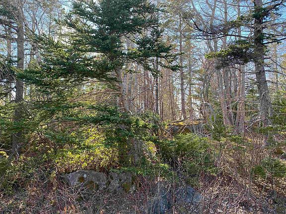 4th image of Eastern Shore Rd Lot 10