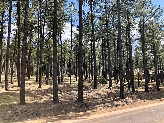 5th image of 9571 Sierra Springs Dr