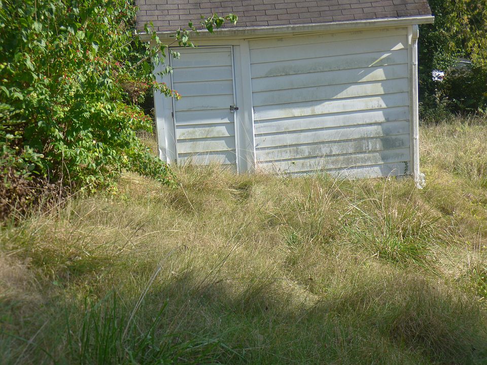 920 Delaney Ferry Rd, Versailles, KY 40383 Zillow