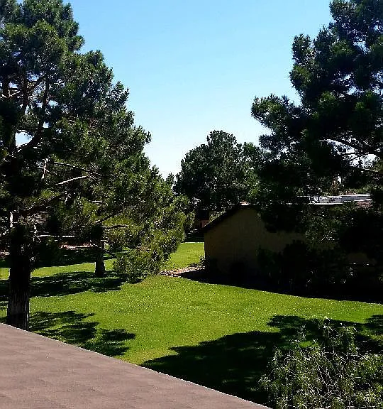 601 Buttonwood Ln — Photo 3