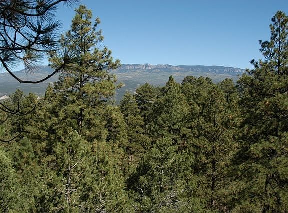 3rd image of Tbd Ponderosa