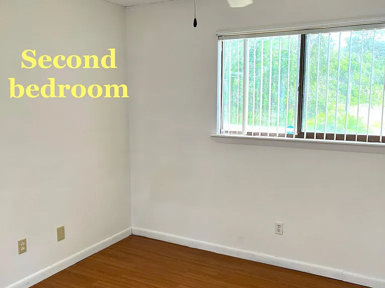 Second bedroom with large closet and ceiling fan/light.