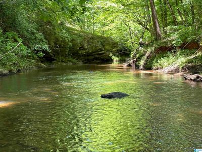 1165 County Road 874 #0, Wadley, AL, 36276