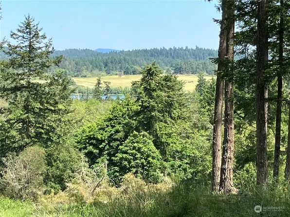 11 Prospect Road, San Juan Island, WA 98250