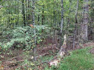 0 Little Mountain Rd, Ellenwood, GA 30294