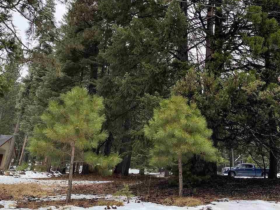 2nd image of 643 Pine Canyon Rd