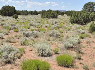 697 County Road 9047, Concho, AZ 85924