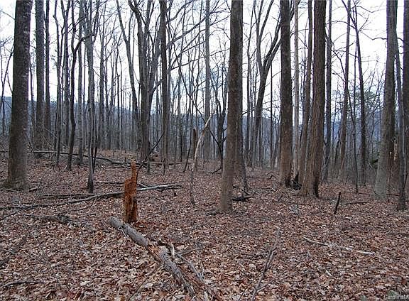 5th image of 0 Big Rock Ln #314