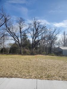 Lot 7 Vintage Pointe, Springfield, MO, 65809