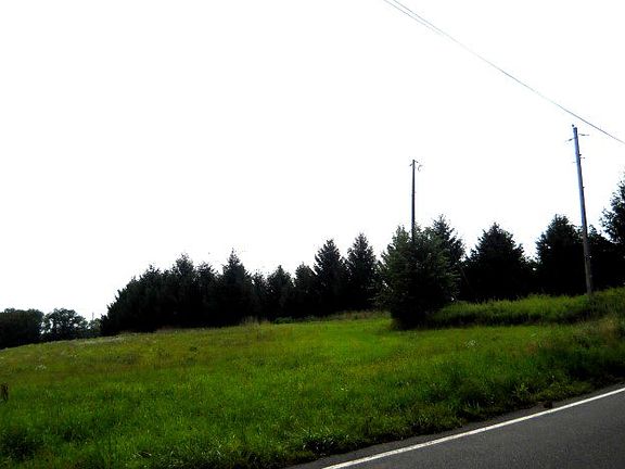 3rd image of 718 Brockton Mountain Dr
