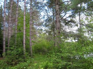 Kings Hill Dr, Tomahawk, WI 54487