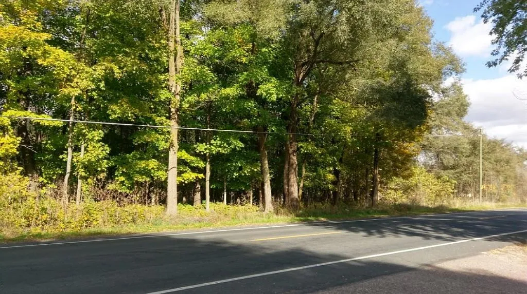 Vl View Ave photo 1