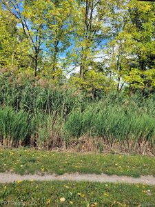 0 Pennsylvania Rd, Southgate, MI, 48195