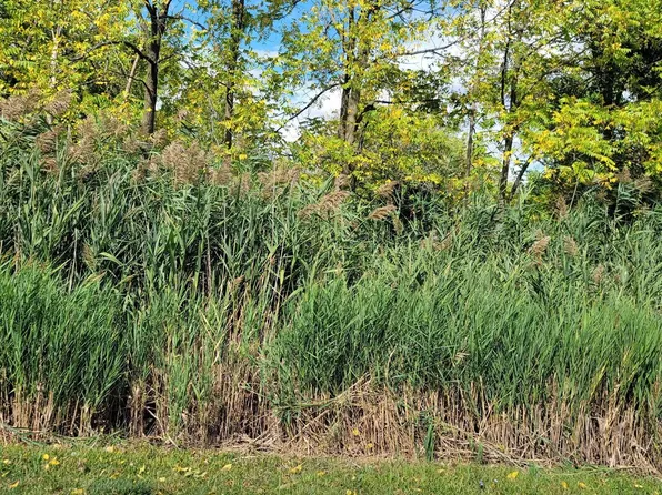 0 Pennsylvania Rd, Southgate, MI 48195