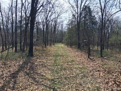 4 Monroe Rd #439, Stoutsville, MO, 65283