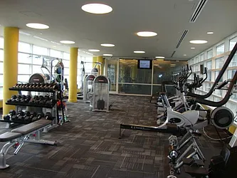 Rented by Camhi NYC Realty Inc