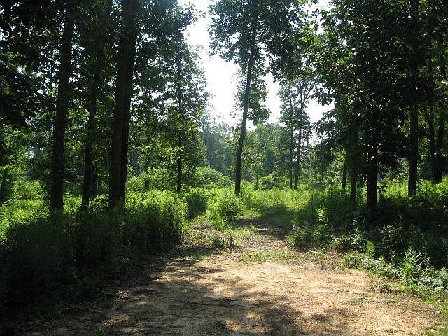 1st image of 8 Twin Oaks Trce