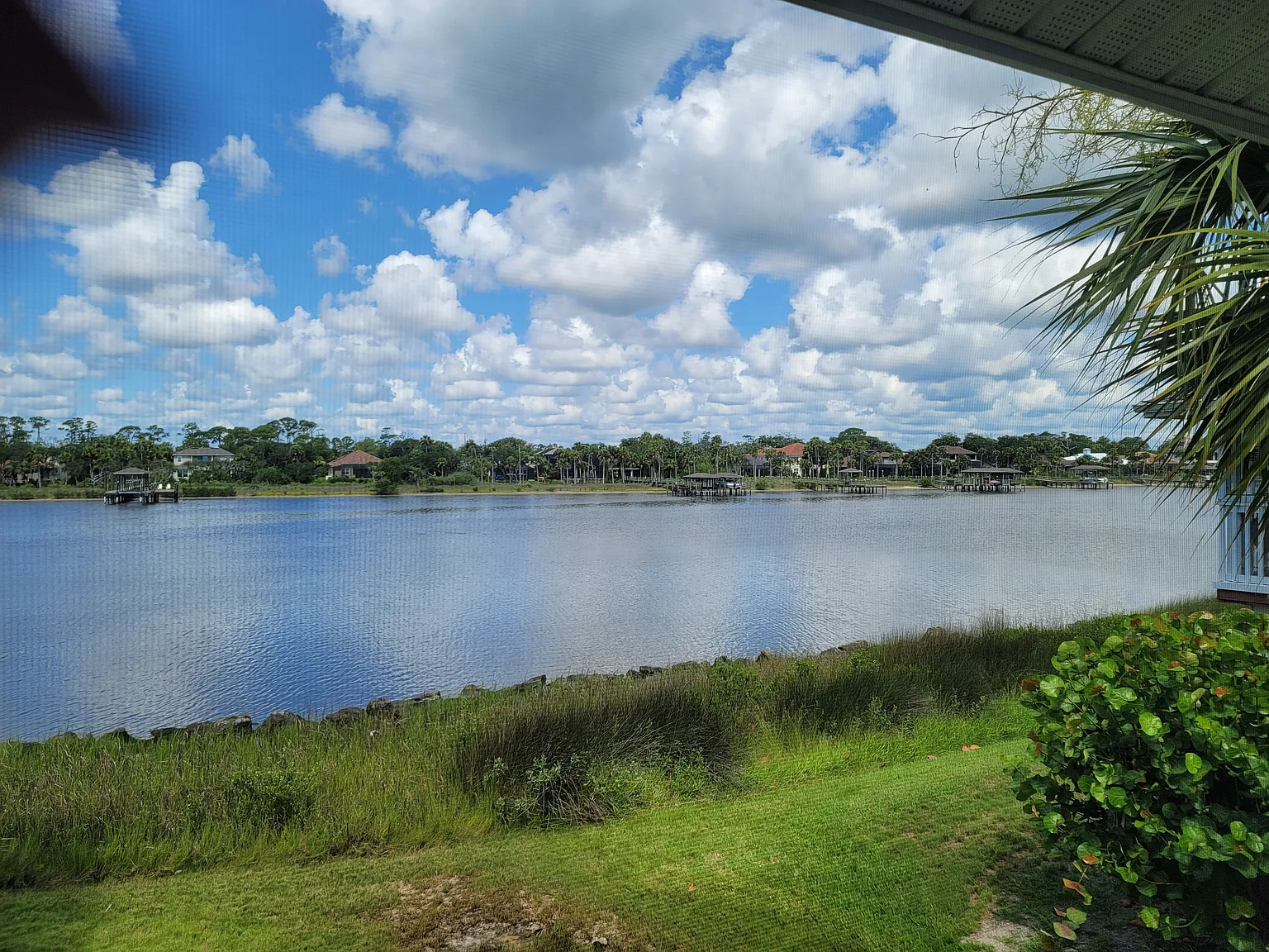 1 bed, 804 sqft, $1,600 — Photo 3